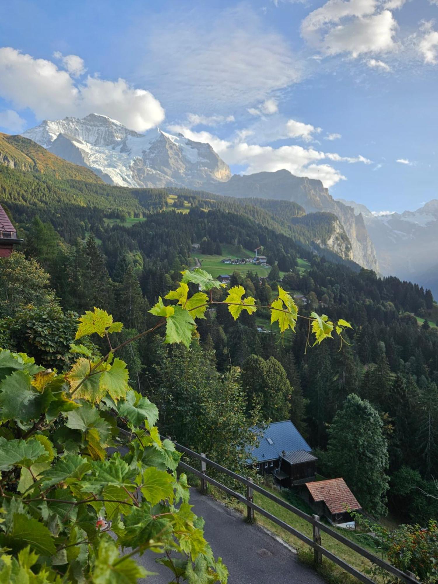 Chalet Aargovia South Wengen Exteriör bild